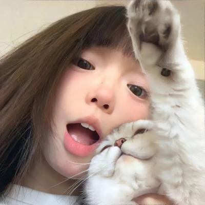 良陈美锦